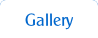 Gallery.